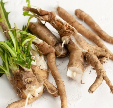 Glucomannan konjac root fibre